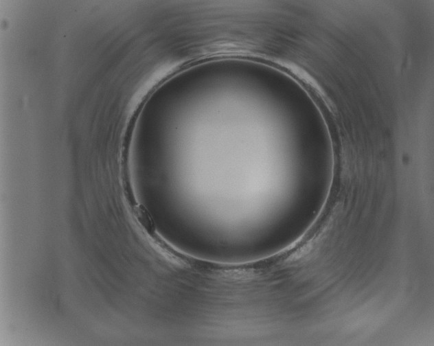 X0000073901333200608180949