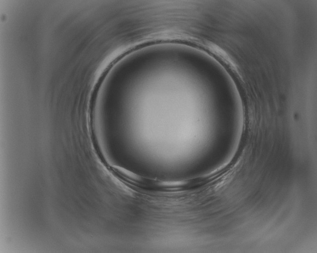 X0000073901334200608180949