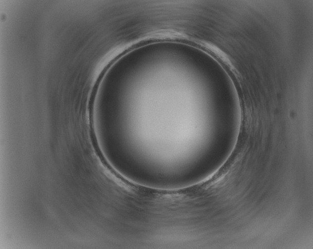 X0000073901335200608180949