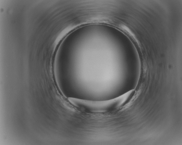 X0000073901336200608180949