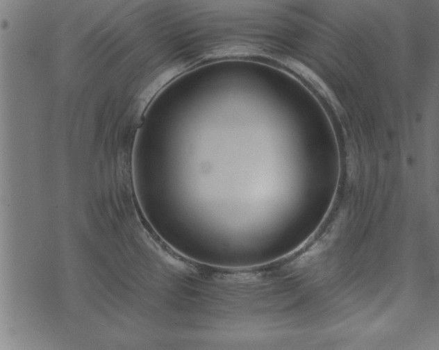 X0000073901337200608180949