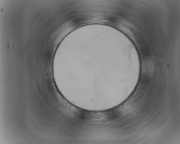 X0000073901338200608180949