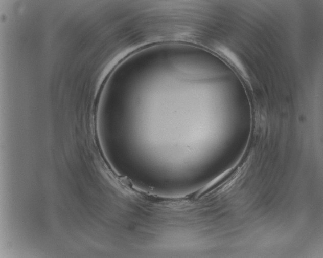 X0000073901340200608180949