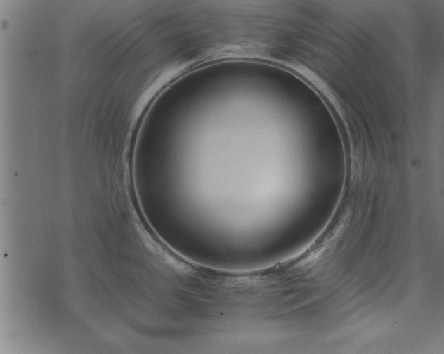 X0000073901341200608180949