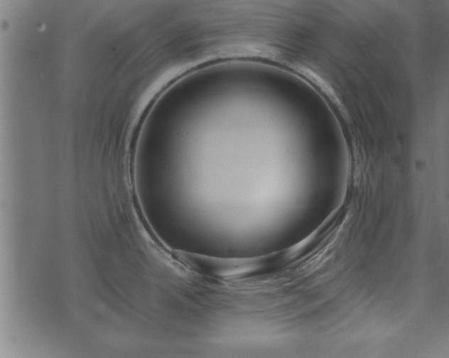 X0000073901342200608180949