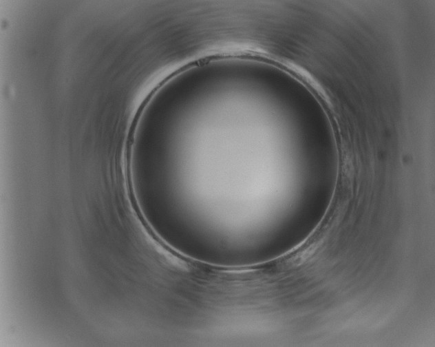 X0000073901343200608180949