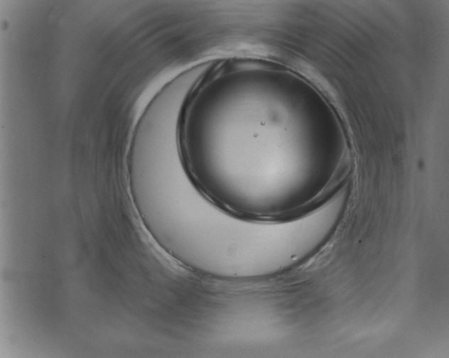 X0000073901344200608180949