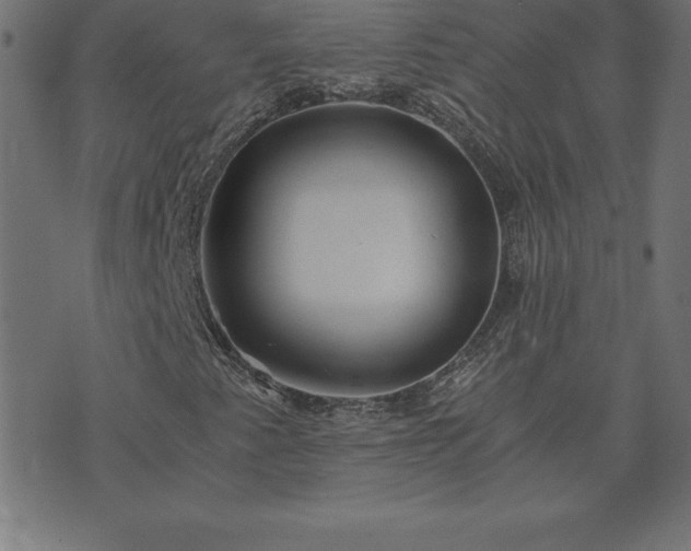 X0000073901345200608180948