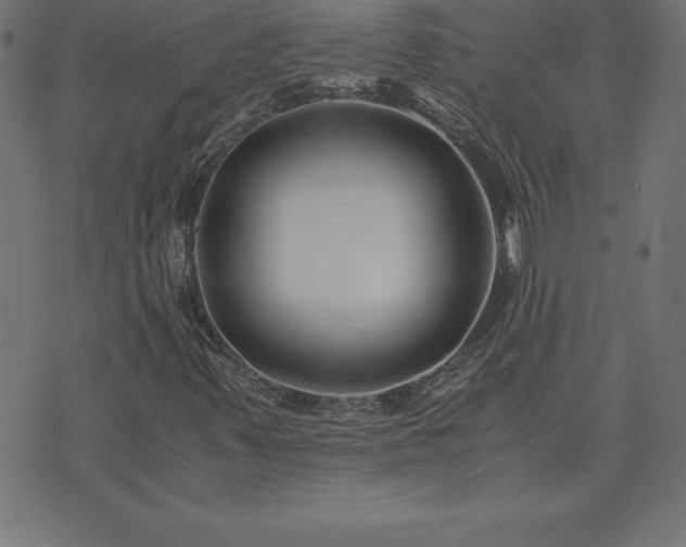 X0000073901347200608180948