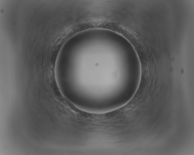 X0000073901349200608180948