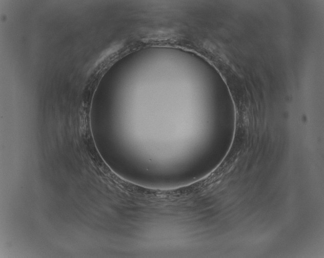 X0000073901350200608180948