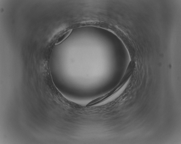 X0000073901351200608180948