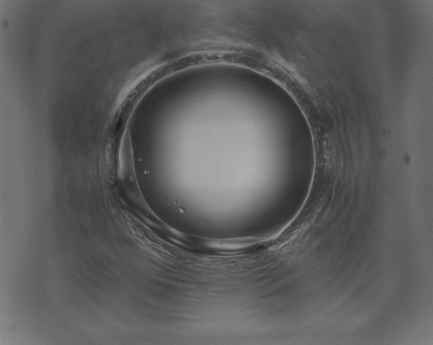 X0000073901352200608180948