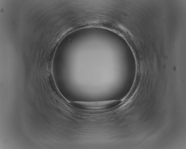 X0000073901353200608180948