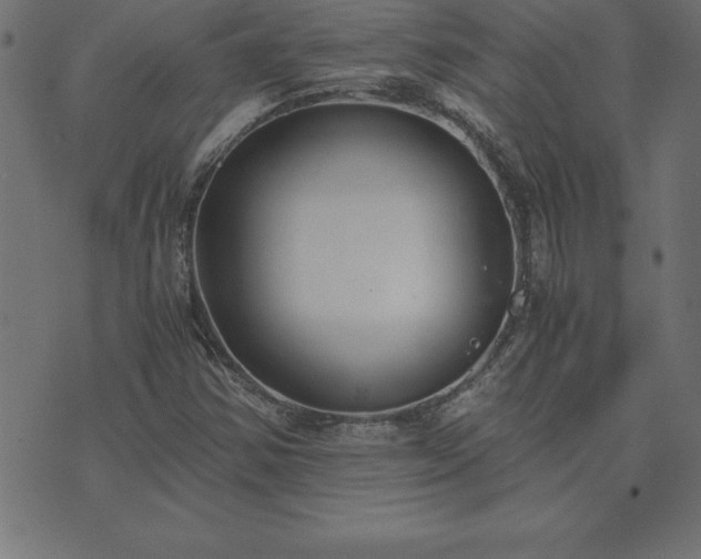 X0000073901354200608180948