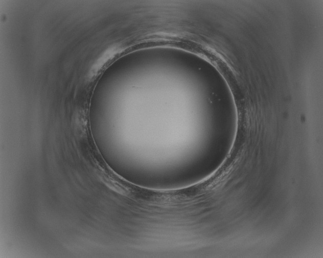 X0000073901355200608180948