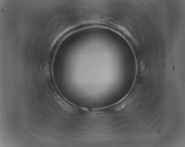 X0000073901356200608180948