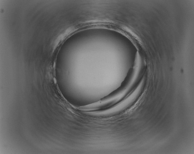 X0000073901357200608180948