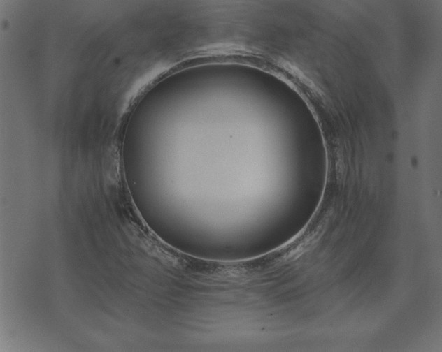 X0000073901358200608180948