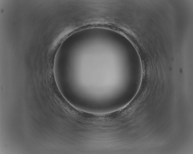 X0000073901359200608180948