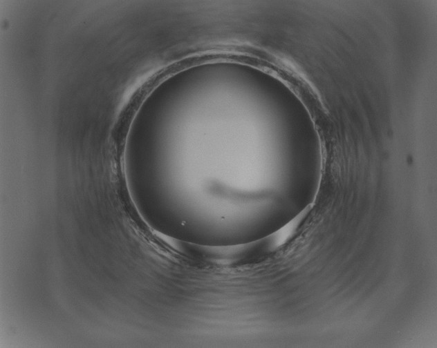 X0000073901360200608180948