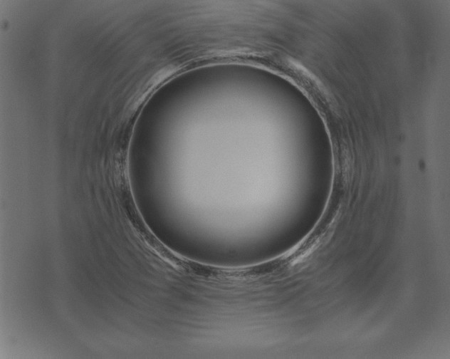 X0000073901361200608180948