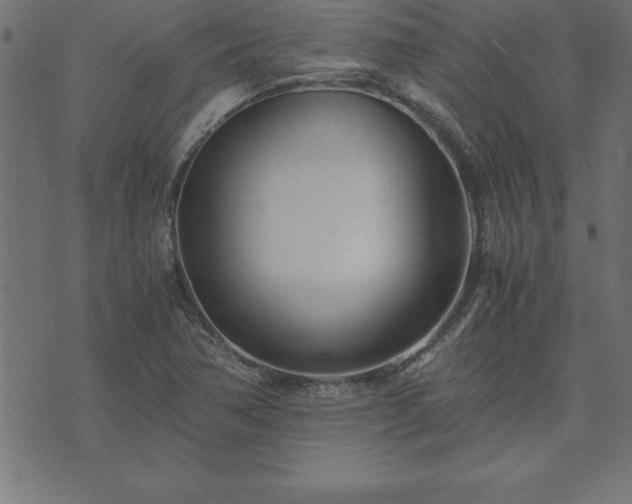 X0000073901362200608180948