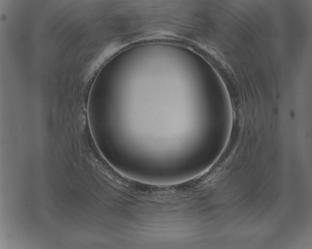 X0000073901363200608180948