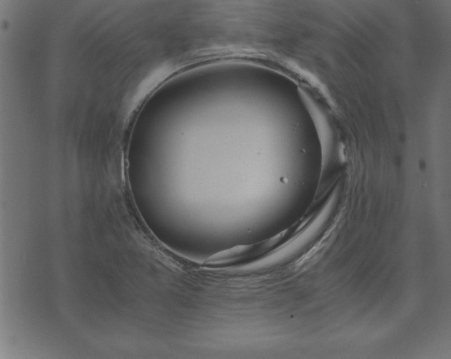 X0000073901365200608180948