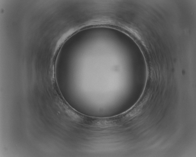 X0000073901366200608180948