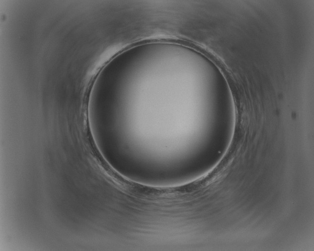 X0000073901367200608180948