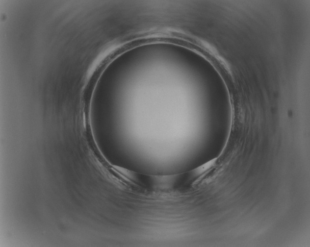 X0000073901368200608180948