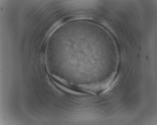 X0000073901369200608180948