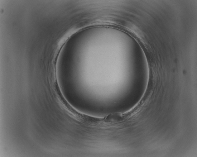 X0000073901371200608180948