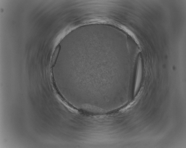 X0000073901373200608180948