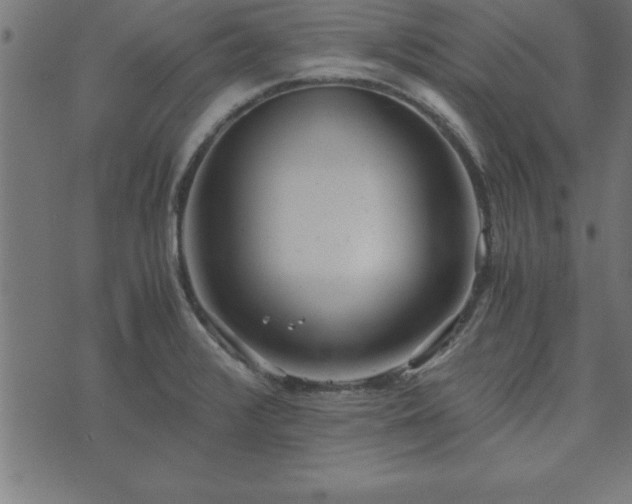 X0000073901376200608180948