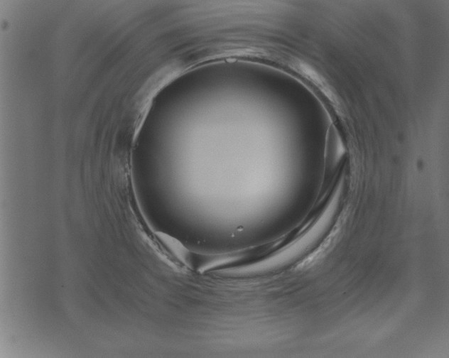 X0000073901377200608180948