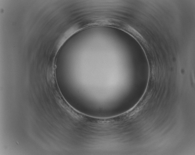 X0000073901378200608180948