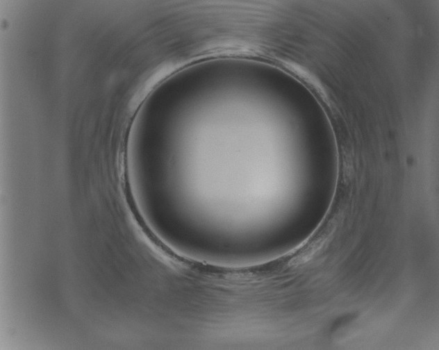 X0000073901383200608180948