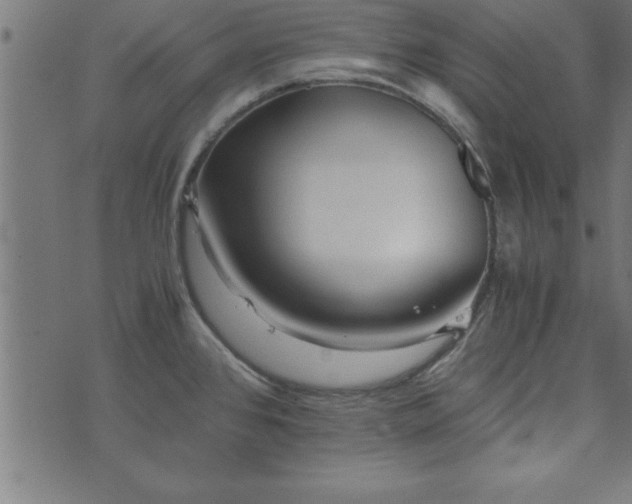 X0000073901384200608180948