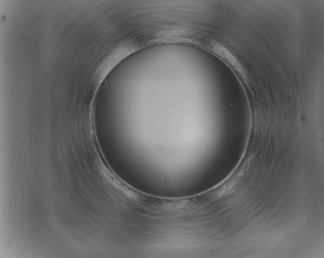 X0000073901386200608180948