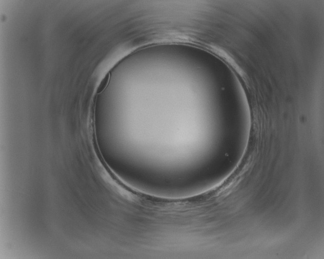 X0000073901387200608180948