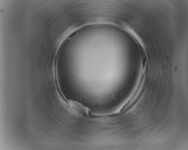 X0000073901388200608180948