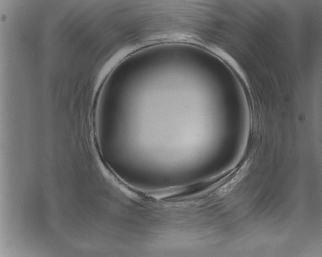 X0000073901389200608180948