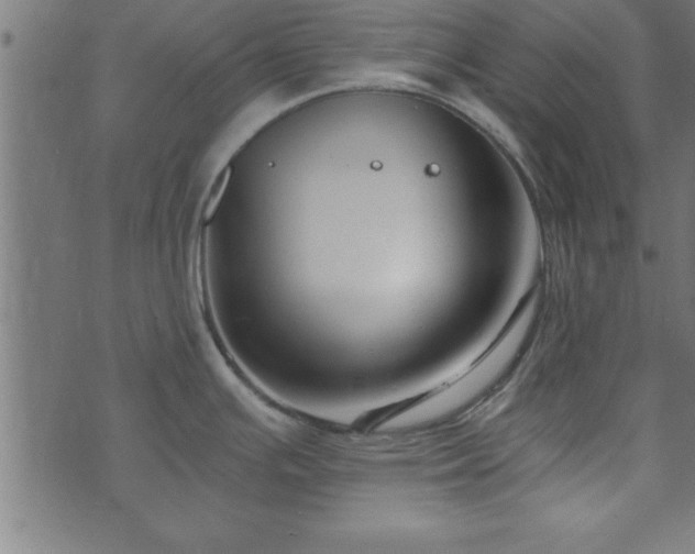 X0000073901391200608180948