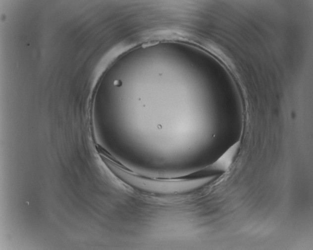 X0000073901392200608180948