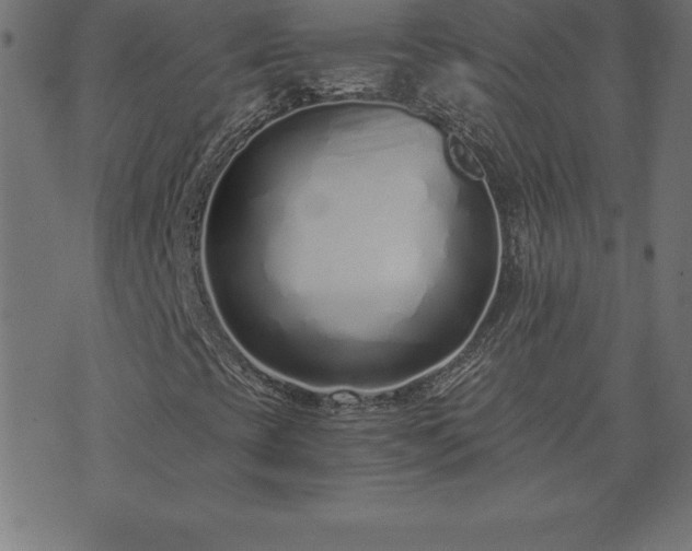 X0000073901393200608180947