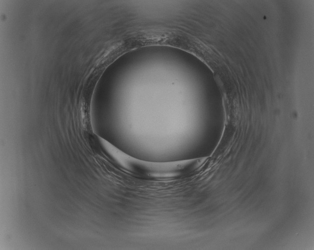 X0000073901394200608180947