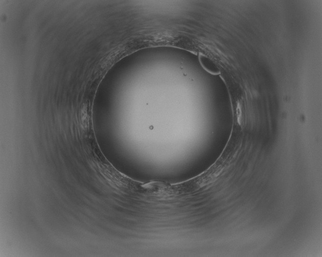 X0000073901395200608180947