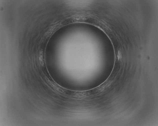 X0000073901396200608180947